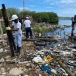 Intervención exitosa en zona colindante a la ciénaga de la Virgen para su recuperación ambiental