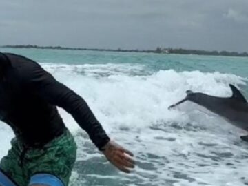 Maluma vive mágico encuentro en el mar: "una señal de la vida"