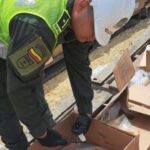 Perro antidrogas detecta 1.3 toneladas de cocaína en contenedor de pulpas de frutas en Cartagena.