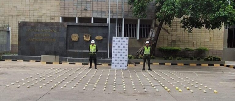 Incautan 63 kilos de cocaína ocultos en piñas falsas en el puerto de Cartagena