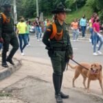 ¡Pilas con Mantra! La perra del Grupo de Carabineros que olfatea dineros en grandes cantidades y estará en las vías de Bolívar el fin de semana de elecciones