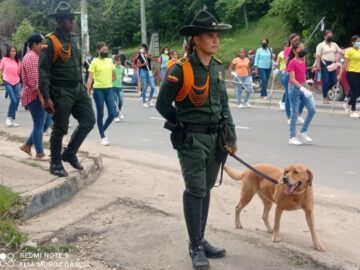 ¡Pilas con Mantra! La perra del Grupo de Carabineros que olfatea dineros en grandes cantidades y estará en las vías de Bolívar el fin de semana de elecciones