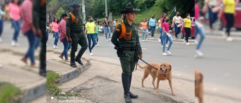 ¡Pilas con Mantra! La perra del Grupo de Carabineros que olfatea dineros en grandes cantidades y estará en las vías de Bolívar el fin de semana de elecciones