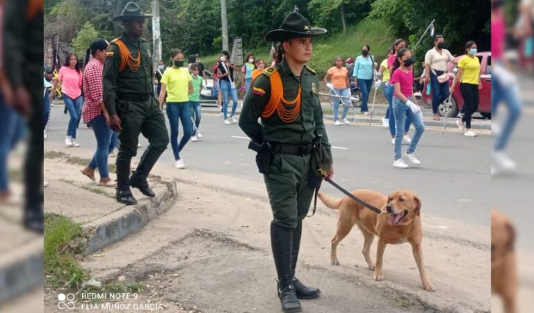 ¡Pilas con Mantra! La perra del Grupo de Carabineros que olfatea dineros en grandes cantidades y estará en las vías de Bolívar el fin de semana de elecciones