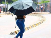 Copia de post web Denunciasctg 12