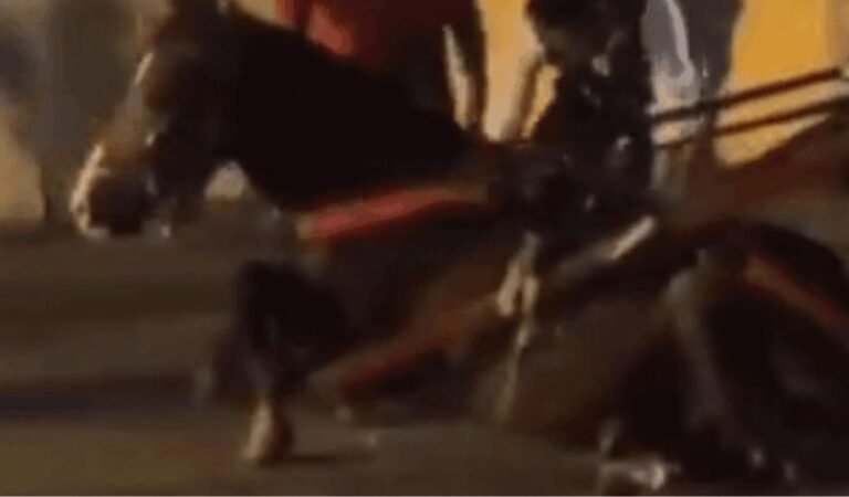 Conmoción en Cartagena: Video Revela Desplome de Caballo Cochero por Sobrecarga