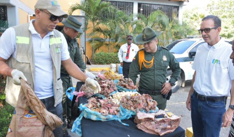 ¡Operativo en Bazurto! Decomisan carne de animales silvestres. Autoridades alertan sobre riesgos para la salud pública.