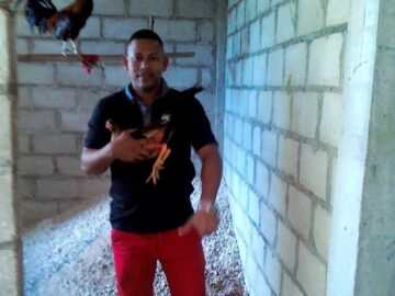Fallece en accidente de moto un amante de los gallos
