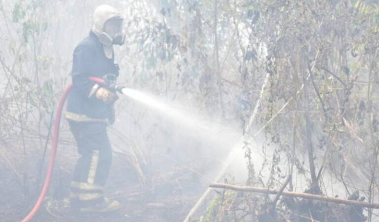 Los bomberos logran extinguir incendio forestal en Turbaco, sumando 4 en una semana.