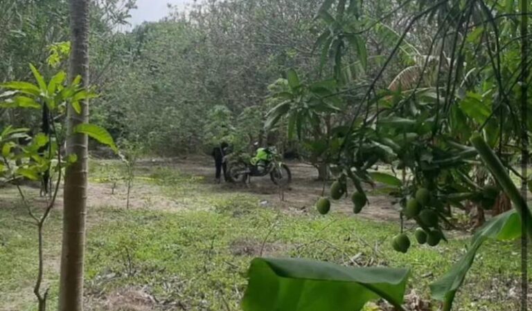 Las autoridades se encuentran investigando la muerte de un hombre que fue encontrado colgado de un árbol.