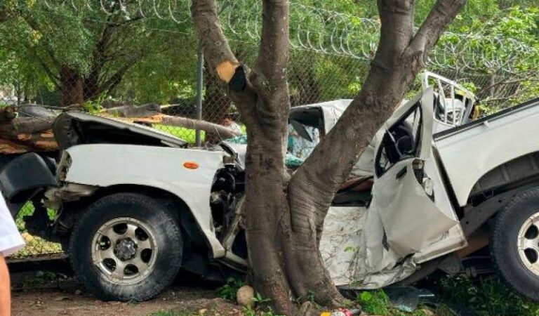 Un estudiante de 19 años falleció tras chocar contra árboles en la universidad.