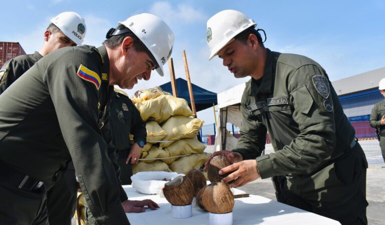 Nuevo método para ocultar cocaína: camuflarla en cocos.