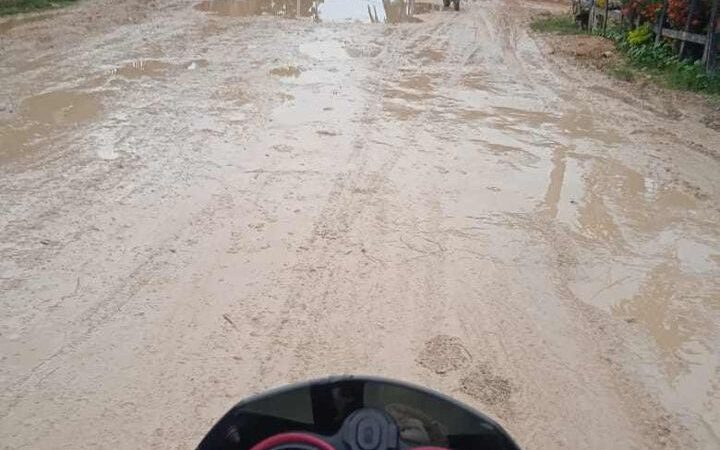 Comunidades de Tierra Baja, Puerto Bello y Puerto Rey exigen arreglo urgente de vías