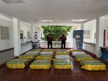 Incautan mas de 500 kilogramos de marihuana durante operacion de