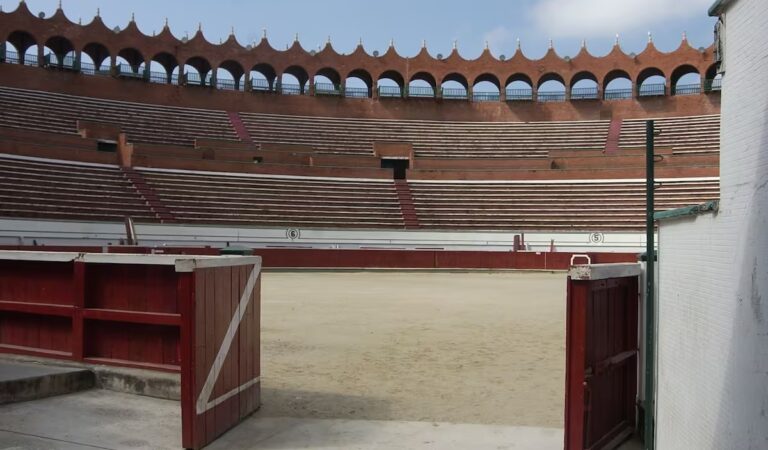 Taurinos proponen corridas sin matar toros en Cartagena, pero el Distrito mantiene su postura de rechazo