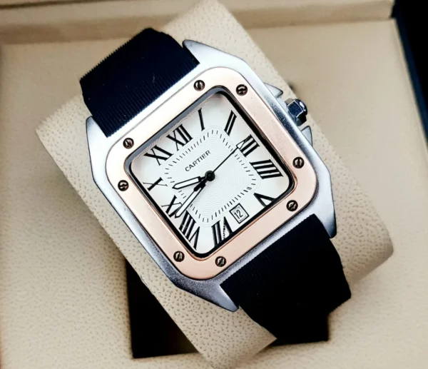 Cartier dos santos DPLPR