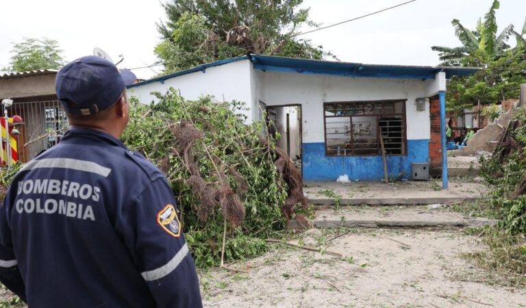 Recuperación de vivienda afectada por caída de árbol en barrio La Esperanza será realizada por la Alcaldía