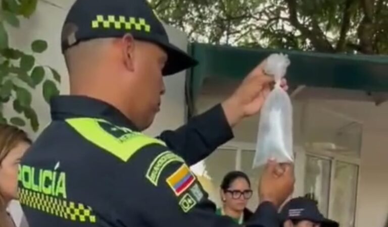 Incautados peces, corales, caracoles y cangrejos marinos en la Terminal de Transportes de Cartagena por la Policía