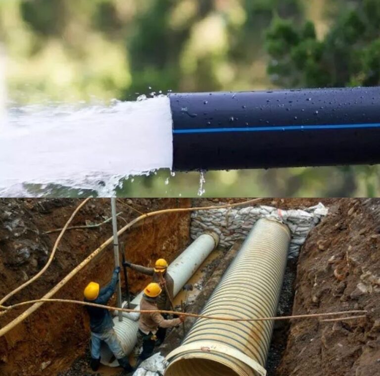 Durante el ano 2025 la Gobernacion de Bolivar realizara una