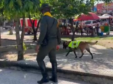 Oker el perro policia que detecta polvora y evita su