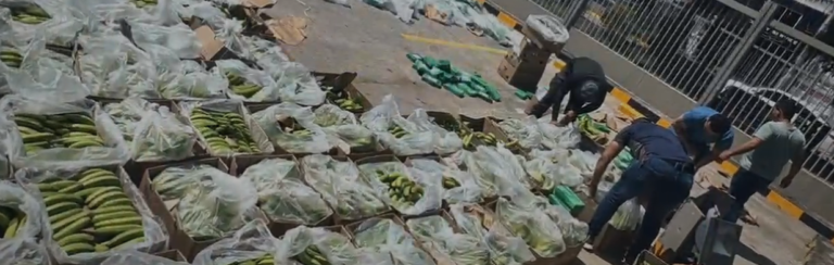 Descubren en Cartagena un cargamento de bananos con 1607 kilos
