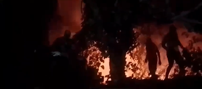 Fuego en Cano del Oro area insular de Cartagena esta