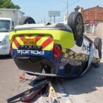 Increible lo que hizo esta serpiente choca carro de la