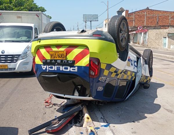 Increible lo que hizo esta serpiente choca carro de la