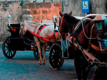 La Procuraduria supervisa el cumplimiento de la sentencia que protege