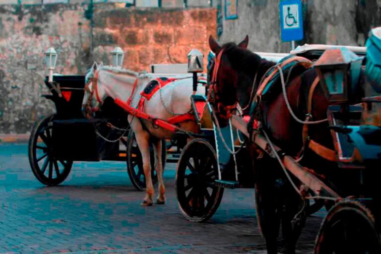 La Procuraduria supervisa el cumplimiento de la sentencia que protege