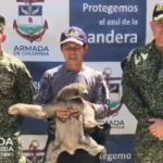 Una osa perezosa es rescatada en San Juan de Nepomuceno