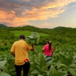 Balance de acciones de reparacion en el Salado – Carmen