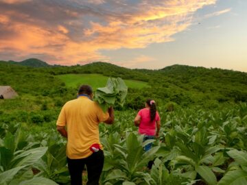 Balance de acciones de reparacion en el Salado – Carmen