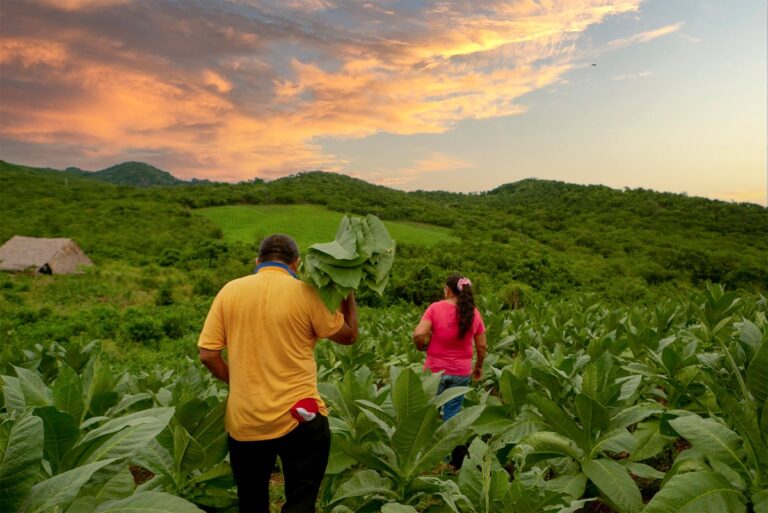 Balance de acciones de reparacion en el Salado – Carmen
