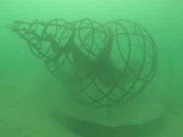 El Museo de Arte y Medio Ambiente de Cartagena presenta