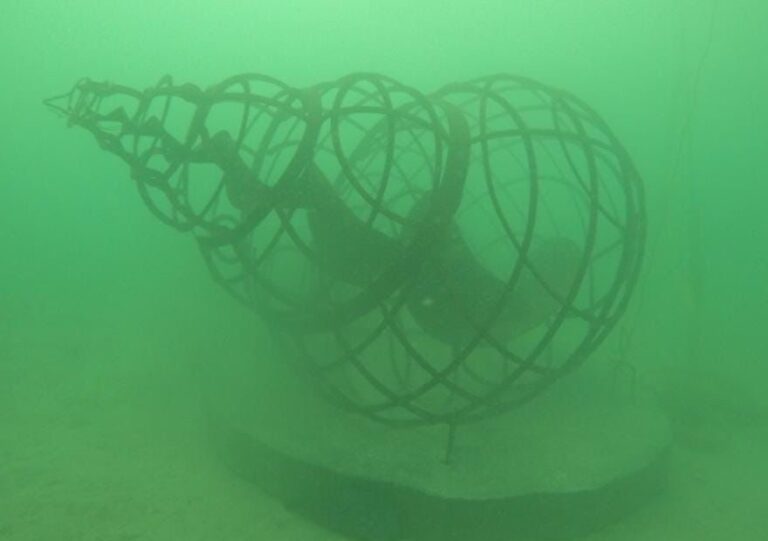 El Museo de Arte y Medio Ambiente de Cartagena presenta