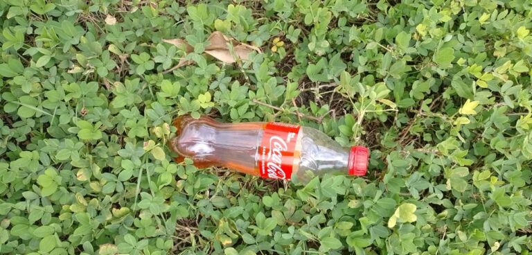 Operativo para capturar a los responsables de lanzar botellas de