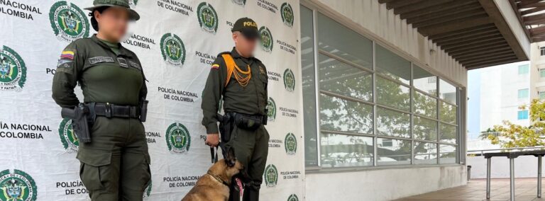 Perro antinarcoticos de la Policia de Cartagena Killer detecto mas