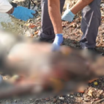 Tres fallecidos por confirmar en Cartagena el jueves 20 de