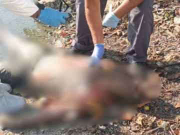 Tres fallecidos por confirmar en Cartagena el jueves 20 de