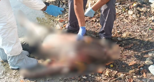 Tres fallecidos por confirmar en Cartagena el jueves 20 de