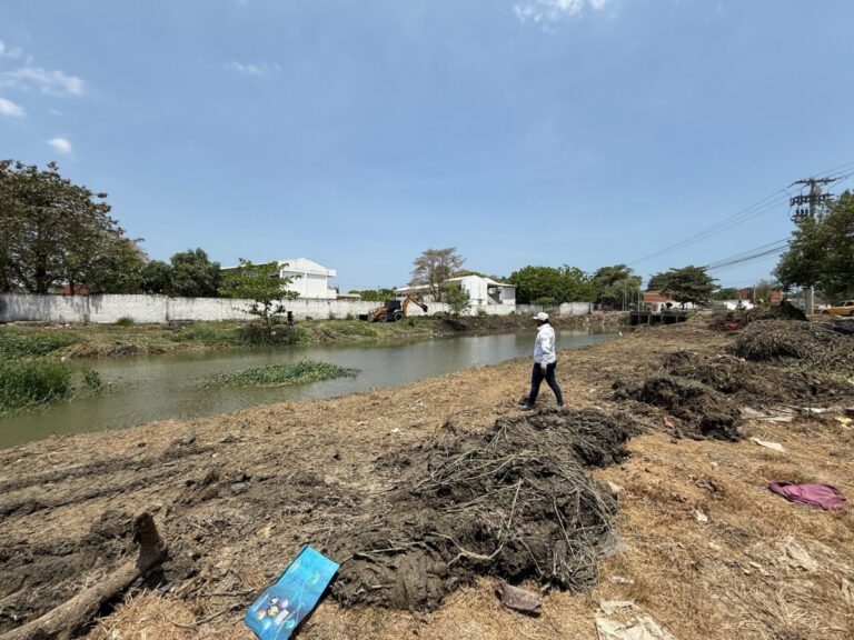 Comienzan labores de limpieza en canos y canales en diferentes