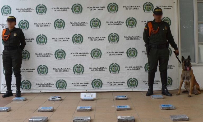 Incautados cocaina y marihuana enviados por encomienda desde el interior