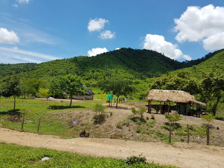 Procesos de restitucion de tierras en municipios del sur de