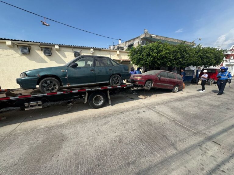 Vehiculos abandonados en via publica son inmovilizados