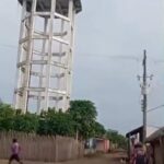 Buscaban miel y fueron atacados por abejas uno se arrojo