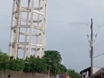 Buscaban miel y fueron atacados por abejas uno se arrojo