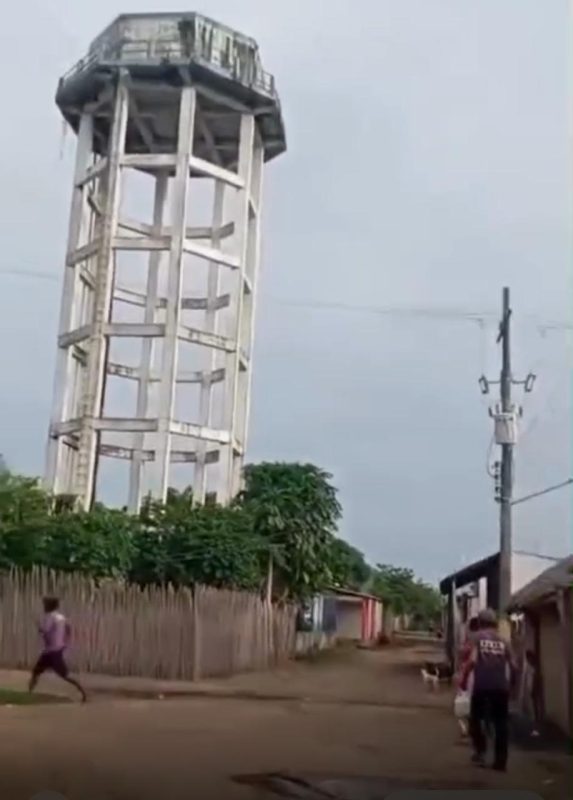 Buscaban miel y fueron atacados por abejas uno se arrojo