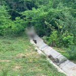 Procuraduria pide acelerar investigaciones sobre el asesinato de un integrante