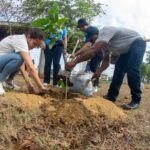 Surtigas dona 50 arboles plantados en el Patio Portal de